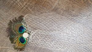Ivory bird cage veil with peacock embellishment